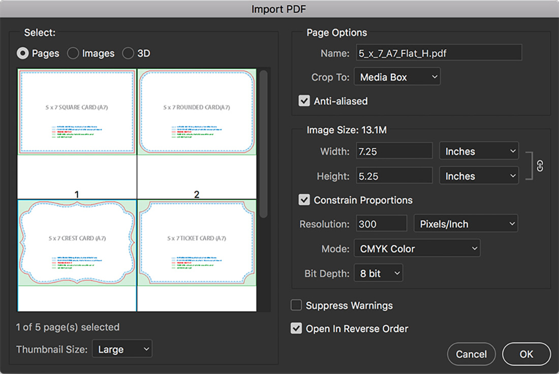 Step 1: Screenshot of importing Template PDF into InDesign. 