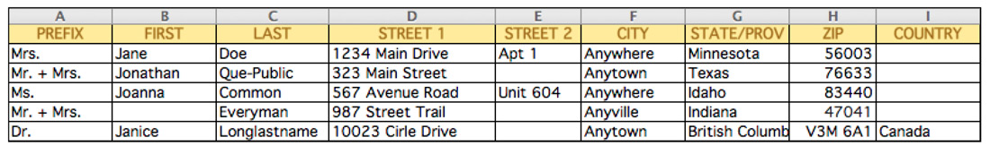 Screenshot of data source file using Microsoft Excel.