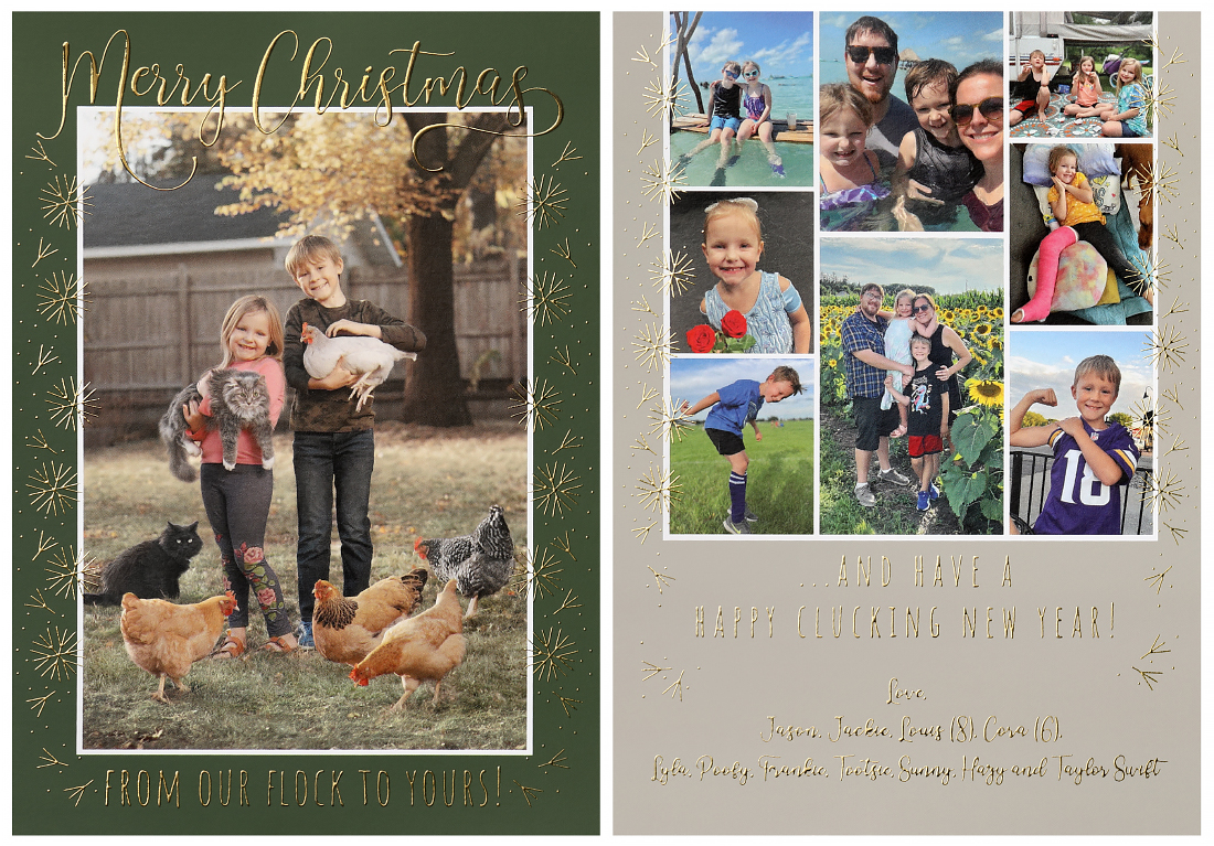 Custom chicken holiday cards with with family photos and chicken feet snowflakes in gold enhanced foil.